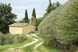 Alte Kirche in Mediterraner Landschaft