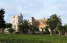 Romanische Burg in Italien mit Palmen in Gartenanlage