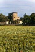 Blick über Getreidefeld auf Mediterraner Villa mit Turmhaus