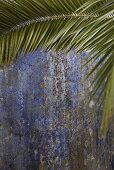 Palm branch in front of a weathered, blue house facade
