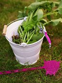 A white metal bucket with a green plant and bright pink fly swat