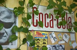 Coca Cola Schild mit Aushang berankt von Kletterpflanze
