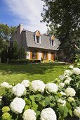 Idyllische Haus mit gepflegtem Garten; im Vordergrund weiße Hortensien
