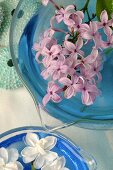 Pink lilac flowers in a bowl of water