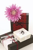 Gifts in Asian wrapping paper