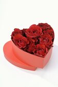 Herzförmige Schachtel mit roten Rosenblüten