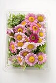 Flowers in plastic tray