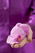 Frau hält Orchideenblüten