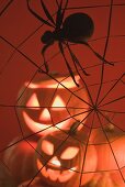 Pumpkin lanterns and spider in web (Halloween decoration)