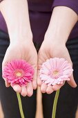Woman holding two gerberas in outstretched hands