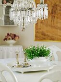 Green houseplant and two Greek-column-style candlesticks on white china tray below vintage chandelier