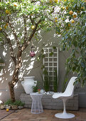 White shell chair and lemon tree on terrace next to house