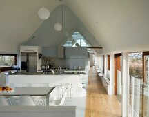 Open-plan living space with dining and kitchen areas beneath roof of contemporary house