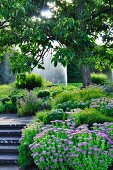 Herbaceous borders and fountain in park (Killesbergpark, Stuttgart, Germany)