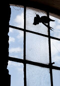 Deko-Vogel an Scheibe eines Sprossenfensters befestigt