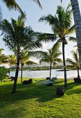 Hammock in the hotel complex of the Four Seasons Resort Mauritius at Anahita