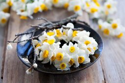Circlet of white narcissus flowers on plate