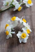 Blütenkranz aus weissen Narzissenblüten herstellen