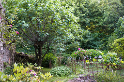 Sommerlicher Garten mit Steinmauer und blühenden Gartenpflanzen