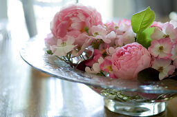 Glass dish of pink roses on wooden table (English roses, shrub roses)