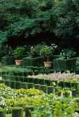 English country manor gardens with flower beds and topiary hedges