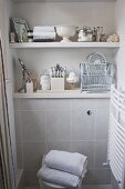 Shelves of toiletries and vintage ornaments above tiled WC area