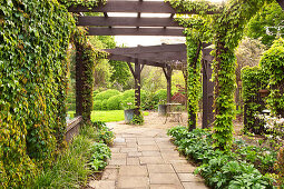 Climber-covered pergola over garden path and terrace