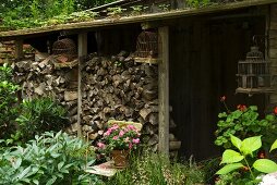 Stacked firewood and old bird cages outside garden shed