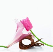 Blumenarrangement mit Tulpe und Lilie
