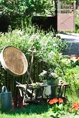 Gardening utensils and planters in wooden handcart next to garden fence