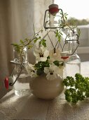 White violas in spherical vase in front of bottle with vintage stopper