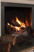 Feuer in offenem Kamin mit Brennholz und dekorative Echsenfigur aus Metall auf der Kaminbank