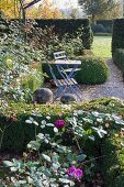 Autumnal atmosphere in park-like garden - seating area in last rays of sun