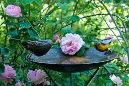 Vogelbad mit Vogelfiguren aus Metall vor Rosenbusch im Garten