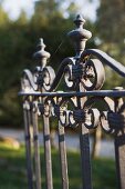 Detail cast iron gate