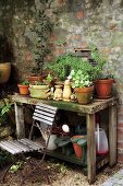 Rustikaler, verwitterter Holztisch mit Topfpflanzen in Tontöpfen und Gartenutensilien an Ziegelsteinwand; davor ein rostiger Klappstuhl