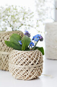 Balls of twine used as vases containing forget-me-nots and gypsophila