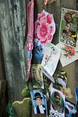 Collection of postcards and flower motifs pinned on old wooden wall
