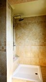 Tiled shower area in bathroom (Villa Octavius, Lefkas, Greece)