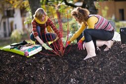 Zwei junge Frauen bei der Gartenarbeit im herbstlichen Garten