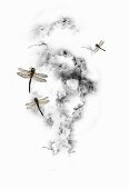 Dragonflies and clouds (print)