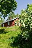 View from meadow of small, Scandinavian wooden cabin in summer sunshine