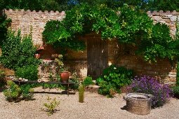 Mediterranean garden with simple wooden bench, flowering bushes and espalier tree on stone wall