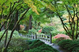 Authentische, japanische Bogenbrücke im Tea Garden in Portland