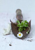 Dug-up daisy plant with roots on trowel next to gnome ornament