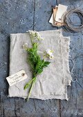 Chamomile, valerian and flowering potato shoot with labelled tag on linen cloth