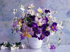 Posy of violas and violets for spring or early summer