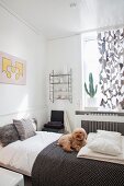 Poodle on houndstooth blanket in cheerful guest bedroom in soft shades of grey