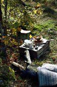 Geschirr auf umgedrehten Holzkisten und Baumstamm mit Decke als Lagerplatz auf sonnigem Waldstück