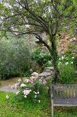 Weathered bench in enchanting monastery garden